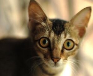 Who me?